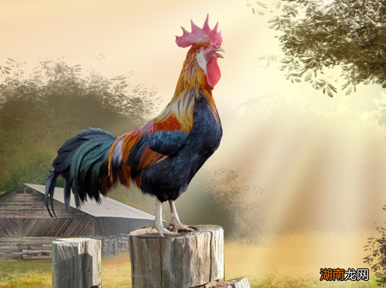 唐伯虎经典的10首诗词赏析 唐伯虎的经典诗词盘点