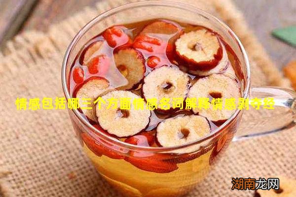 情感包括哪三个方面情感名词解释情感剥夺经历