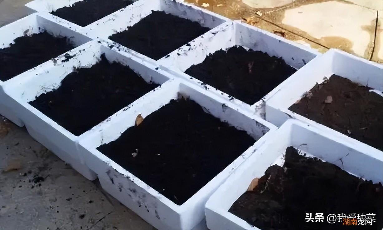 农作物种植中广义的有机肥有哪些 什么叫有机肥