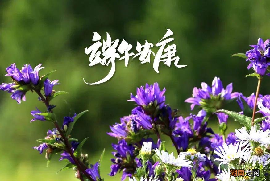 著名的古诗词里的端午节 关于端午节的古诗有哪些