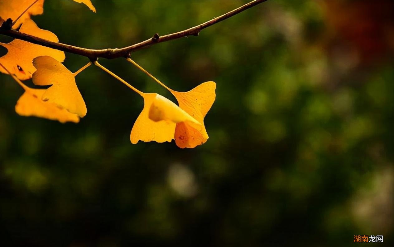 怀念过去美好岁月的景点唯美诗词 回忆过往的唯美诗句