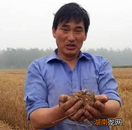 当事人首次回应后真相大白 朱之文和于文华结婚是真的吗