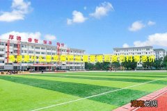 情感是什么意思解释说是爱情百度百科情感价值