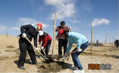 清明节的由来、风俗和禁忌介绍 清明节资料简介