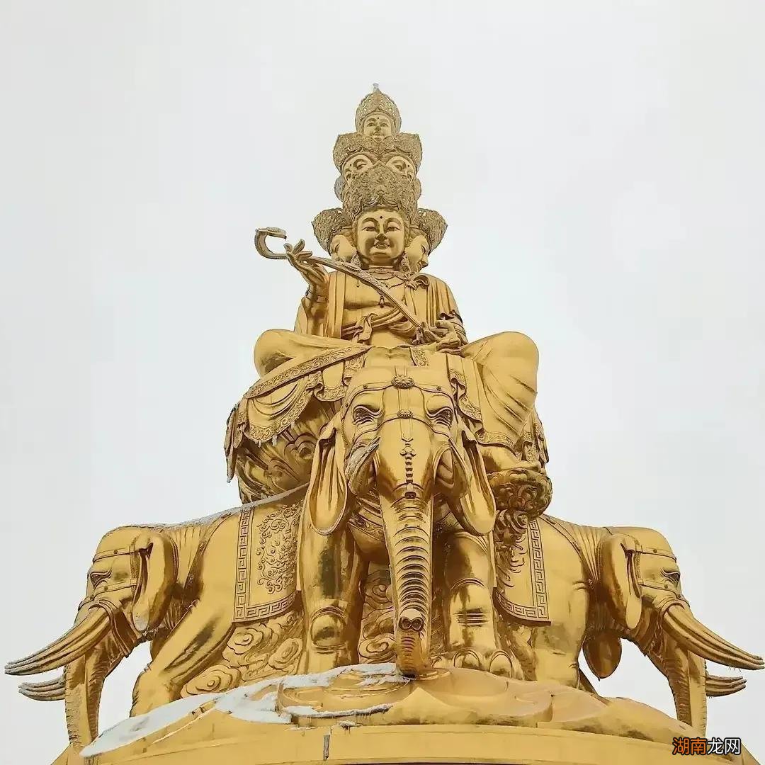 佛教中地位高的四大菩萨 四大菩萨是哪四个