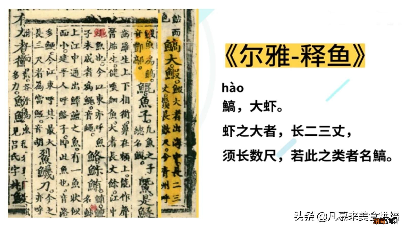 味道鲜美的龙虾原产地是哪里 龙虾是什么动物类型