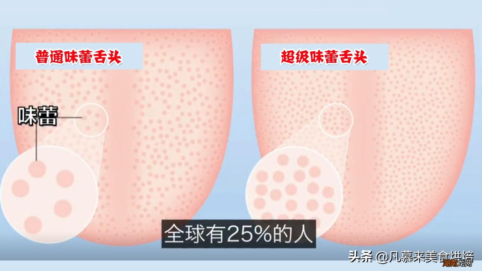 味道鲜美的龙虾原产地是哪里 龙虾是什么动物类型