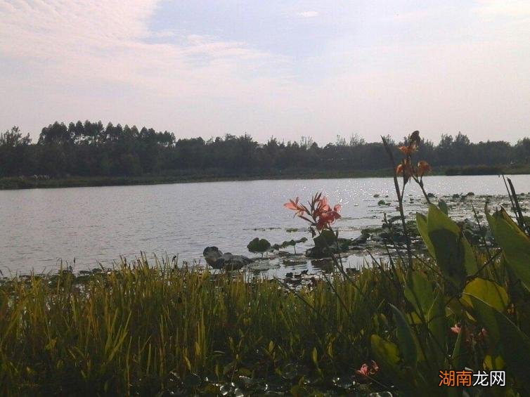 成都自驾一日游打卡景点推荐 成都周边游一日自驾游攻略