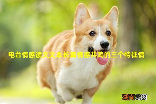 电台情感读文文本长篇情感共鸣的三个特征情感类的剧本短篇