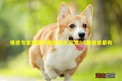 情感专家靠谱吗情感美文欣赏50篇情感都有哪些分类