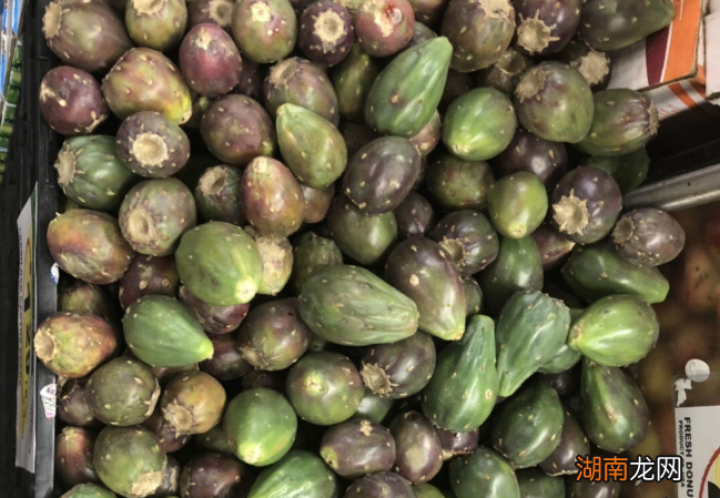 仙人掌结果其实还能吃 仙人掌果实有什么功效与作用