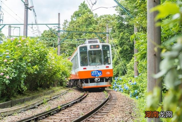 带你看看真实的日本生活现状 日本社会真的极其压抑吗