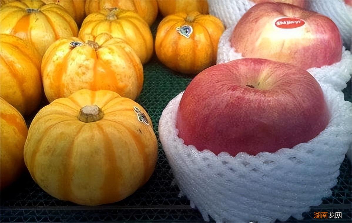 最大的苹果长什么样子 世界上最大的苹果图片