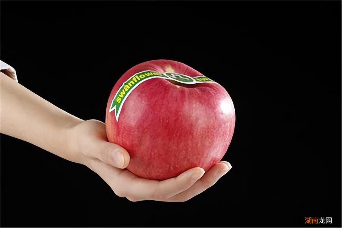最大的苹果长什么样子 世界上最大的苹果图片