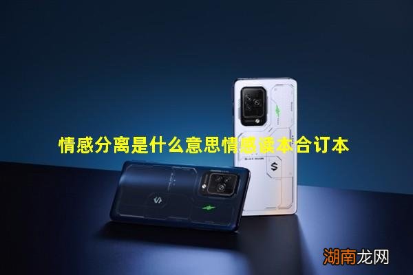 情感分离是什么意思情感读本合订本