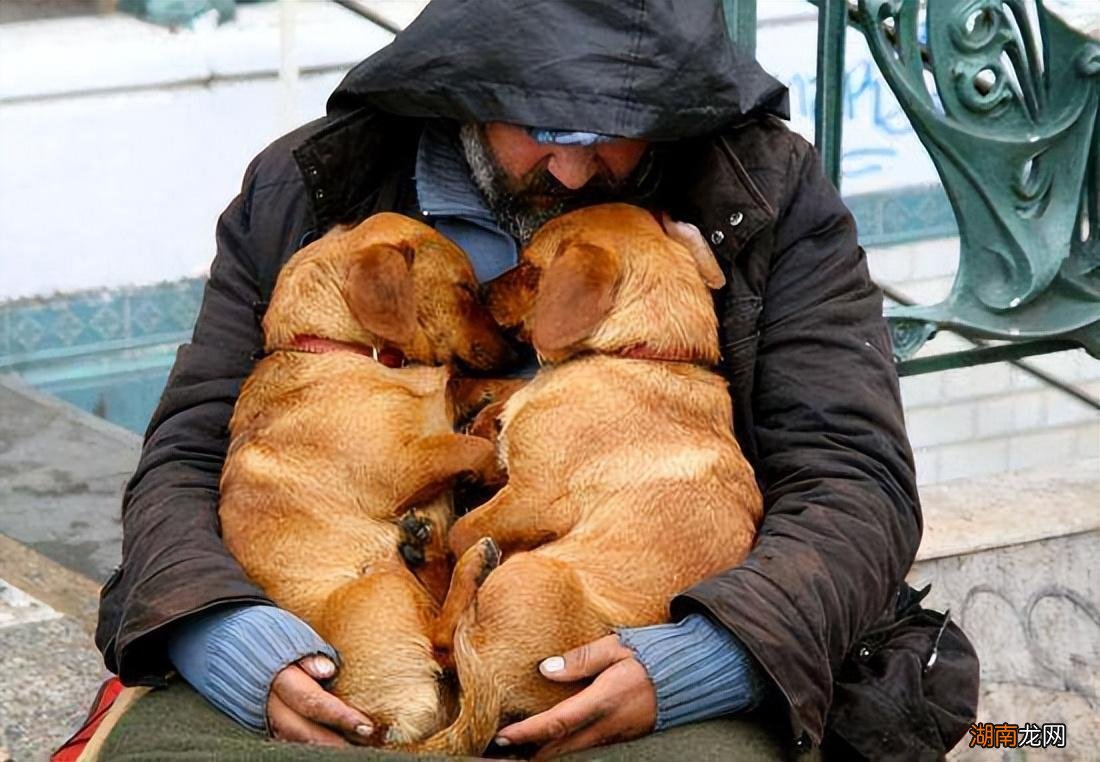 狗狗的10大生活习性特点 狗的生活特征和生活方式