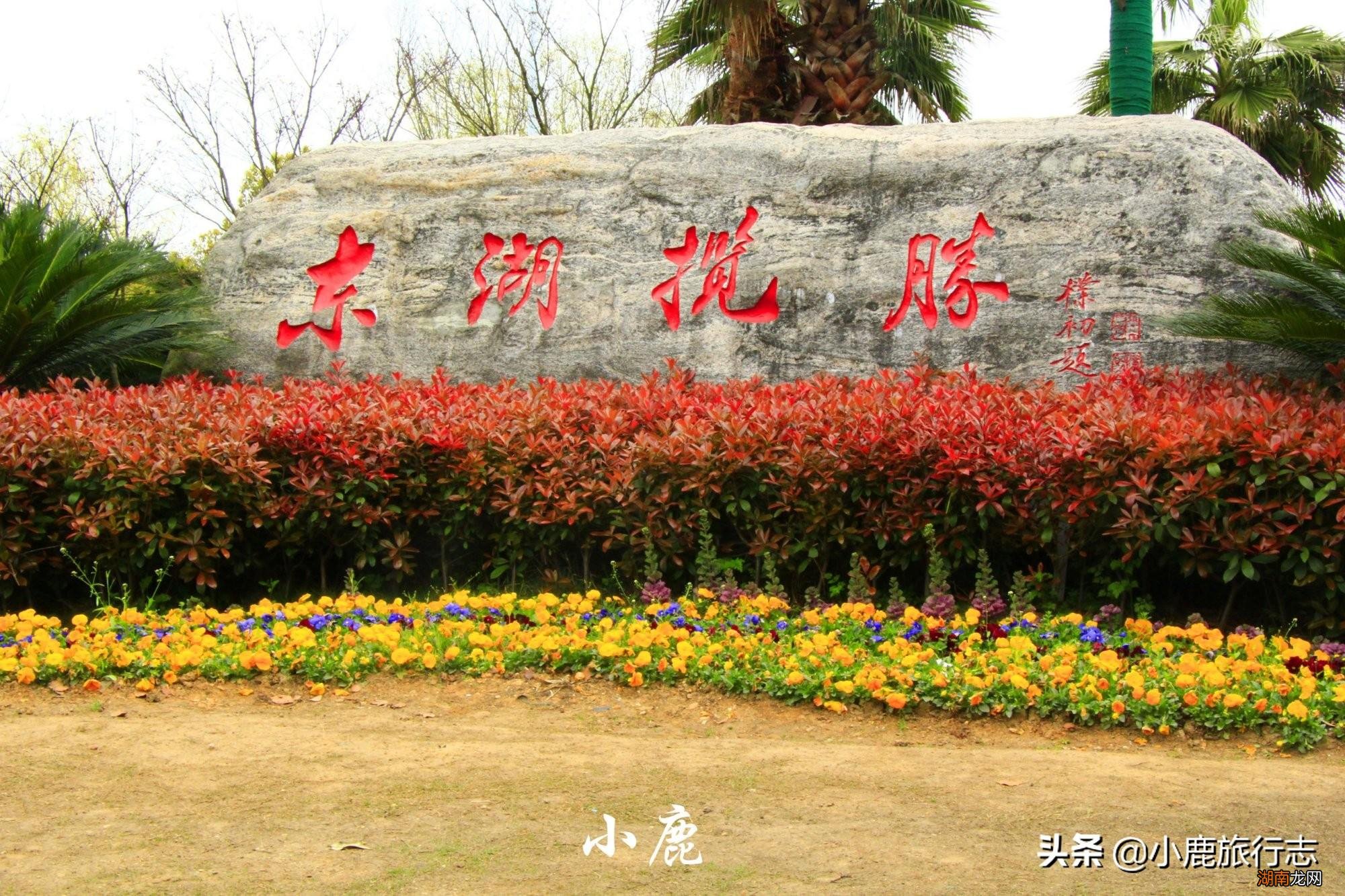 武汉市面积相当4个深圳 武汉的面积多少平方千米