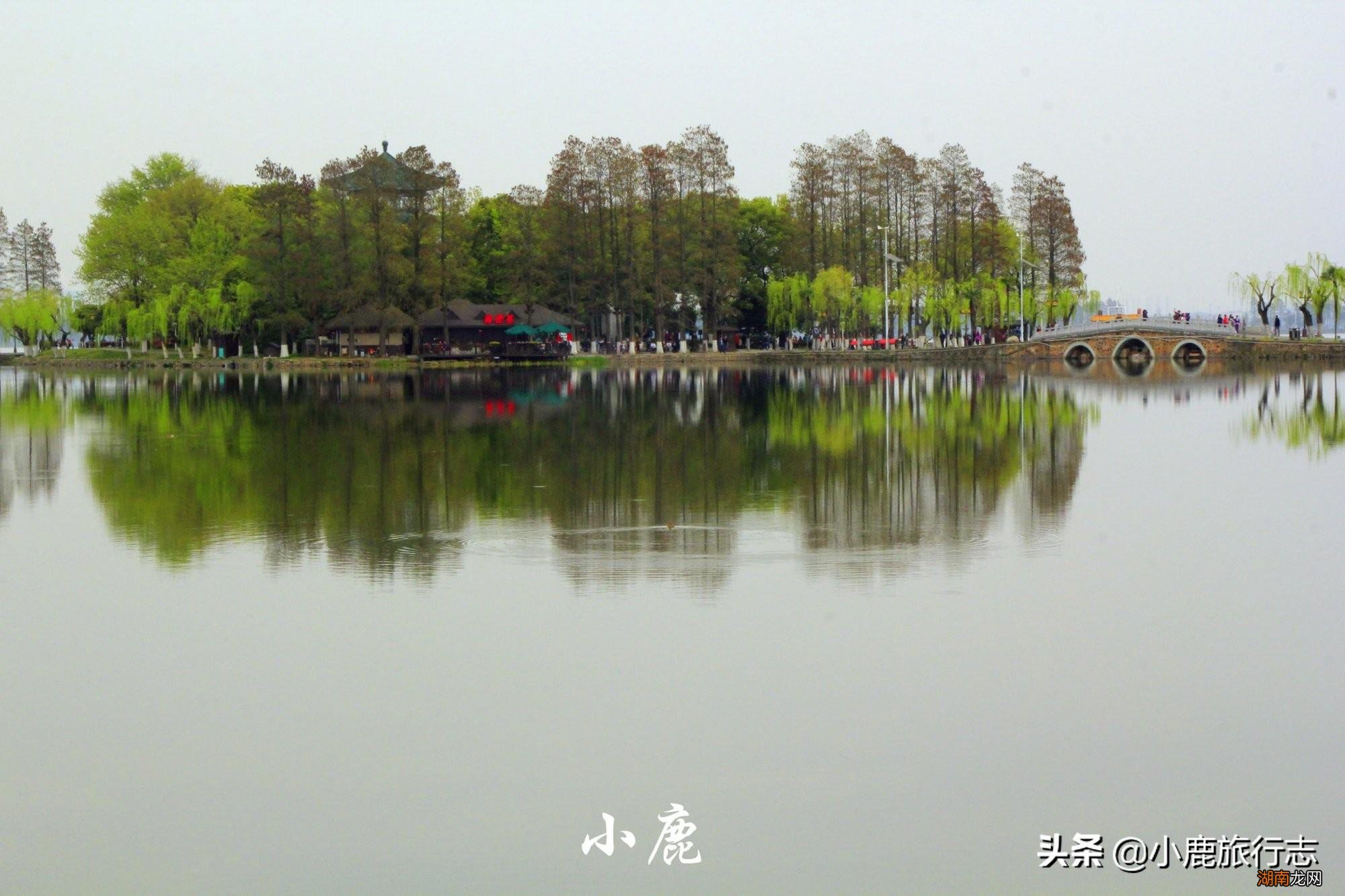 武汉市面积相当4个深圳 武汉的面积多少平方千米