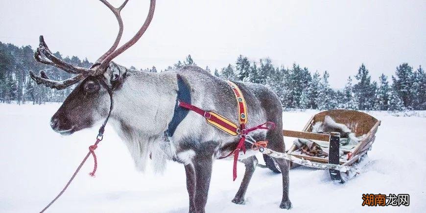 高纬度气候的苔原主要分布地区 苔原气候特点及成因