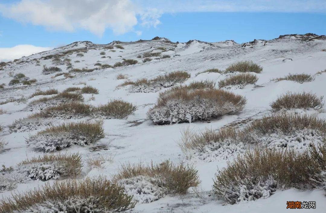 高纬度气候的苔原主要分布地区 苔原气候特点及成因