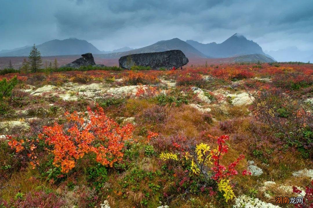 高纬度气候的苔原主要分布地区 苔原气候特点及成因
