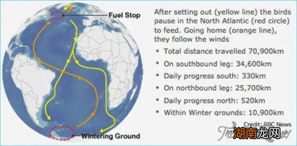 高纬度气候的苔原主要分布地区 苔原气候特点及成因