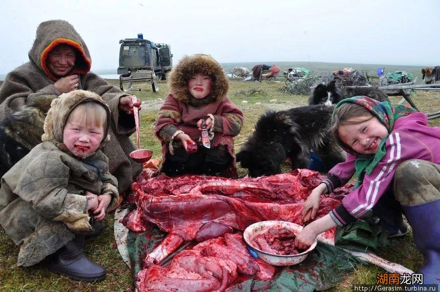 高纬度气候的苔原主要分布地区 苔原气候特点及成因