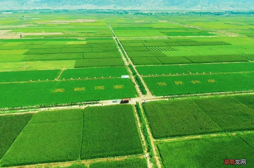 印度是世界上耕地最多的国家 印度耕地面积比中国大多少