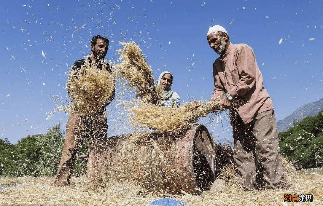 印度是世界上耕地最多的国家 印度耕地面积比中国大多少