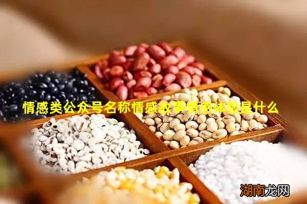 情感类公众号名称情感故事情感体验是什么