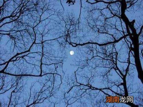 苏轼记承天寺夜游赏析 但少闲人如吾两人者耳翻译理解