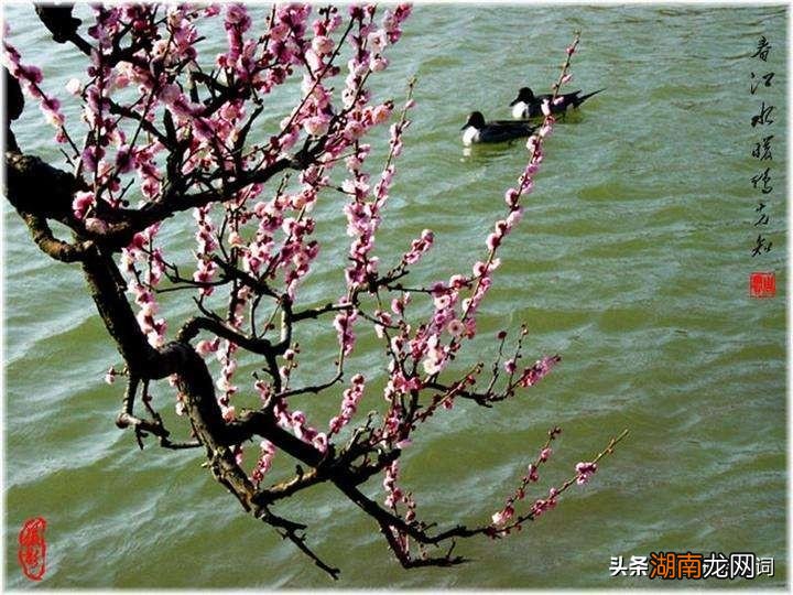 这句话出自哪一首诗 竹杖芒鞋轻胜马是什么意思