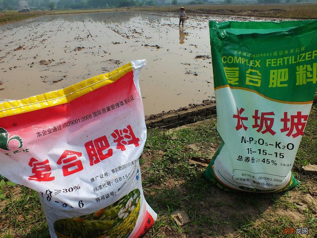 自家种植蔬菜复合肥多久施一次 种菜复合肥怎么使用正确