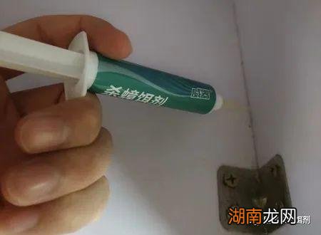 家里有蟑螂的原因与消灭小妙招 为什么家里会有蟑螂