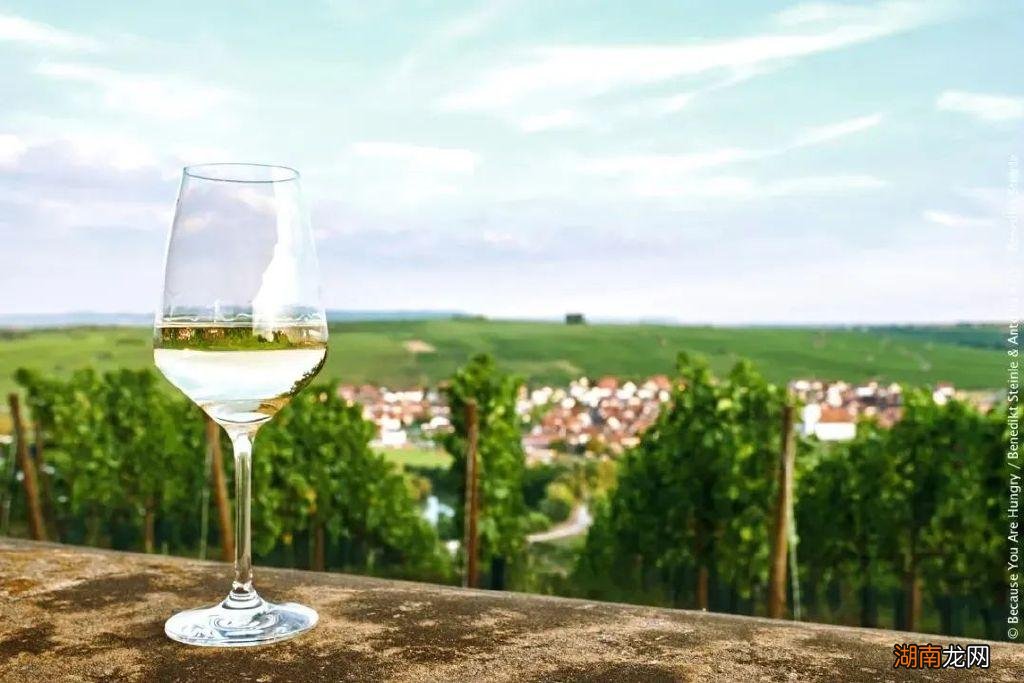 堪称德国葡萄酒之王 雷司令葡萄酒档次高吗