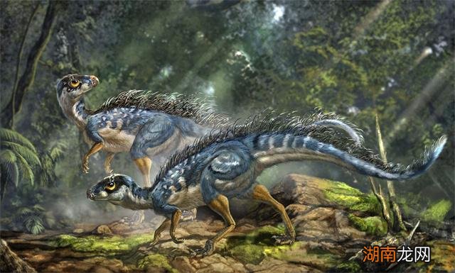 恐龙统治地球亿年却瞬间消失 为什么恐龙会灭绝