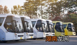 发生交通事故逃逸怎么处理 发生交通事故逃逸如何处理