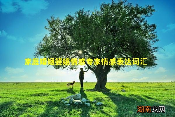 家庭婚姻婆媳情感专家情感表达词汇