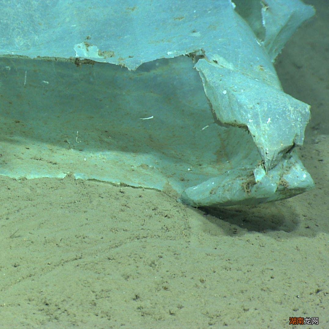 马里亚纳海沟长什么样子图片 海洋下面到底有多恐怖