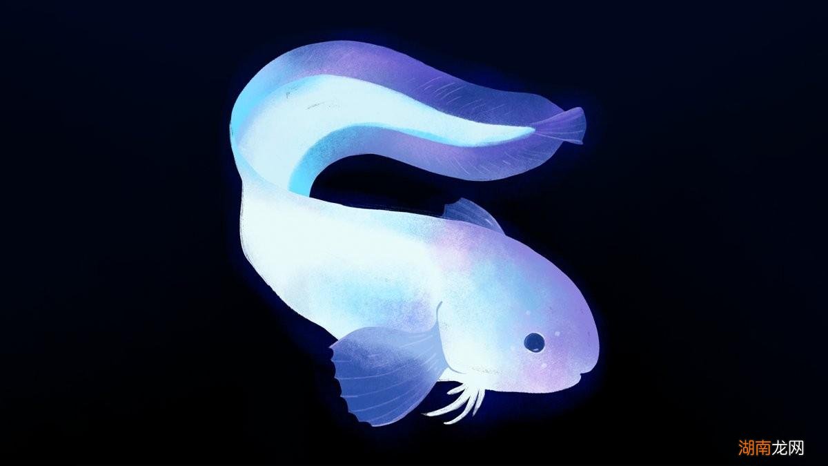 马里亚纳海沟长什么样子图片 海洋下面到底有多恐怖