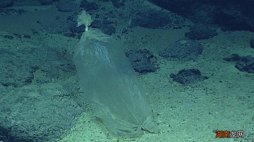 马里亚纳海沟长什么样子图片 海洋下面到底有多恐怖