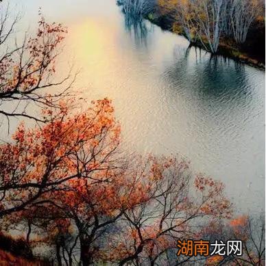 全诗表达了白居易什么情感思想 花非花白居易古诗意思