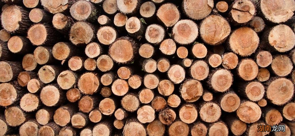 古人钻木取火的原理及讲究 古人钻木取火是真的吗