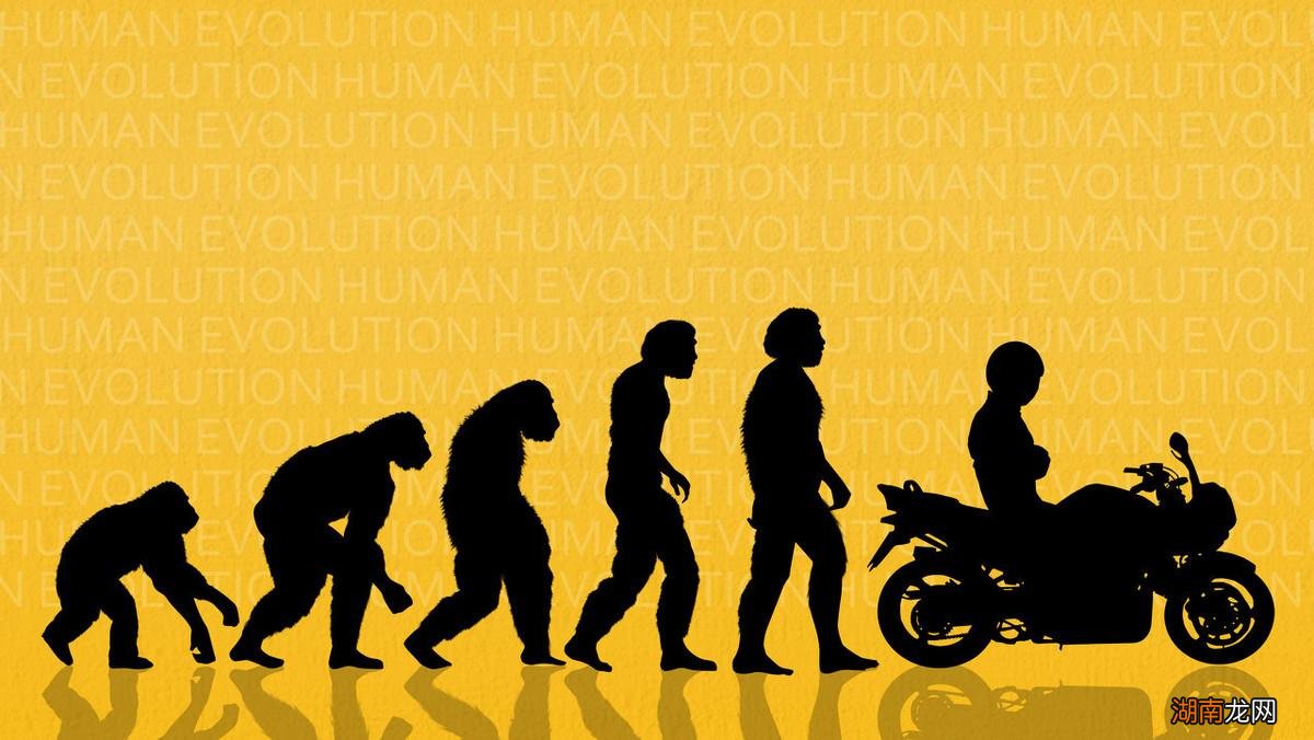 古人钻木取火的原理及讲究 古人钻木取火是真的吗