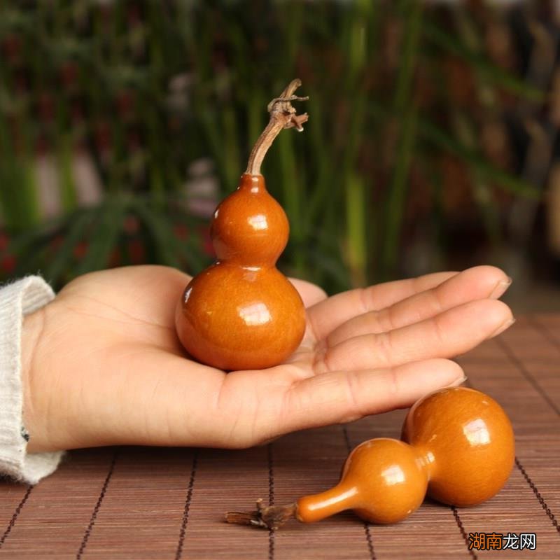 阳台栽种小葫芦盆栽时间和方法 小葫芦几月份种最好