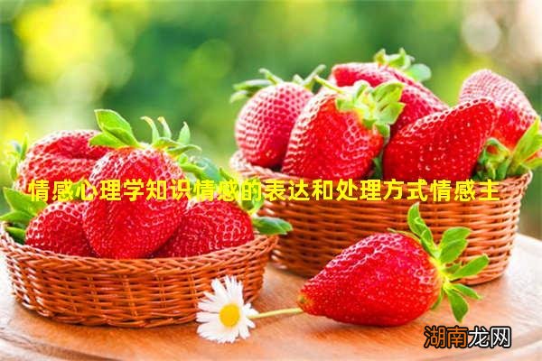 情感心理学知识情感的表达和处理方式情感主观性