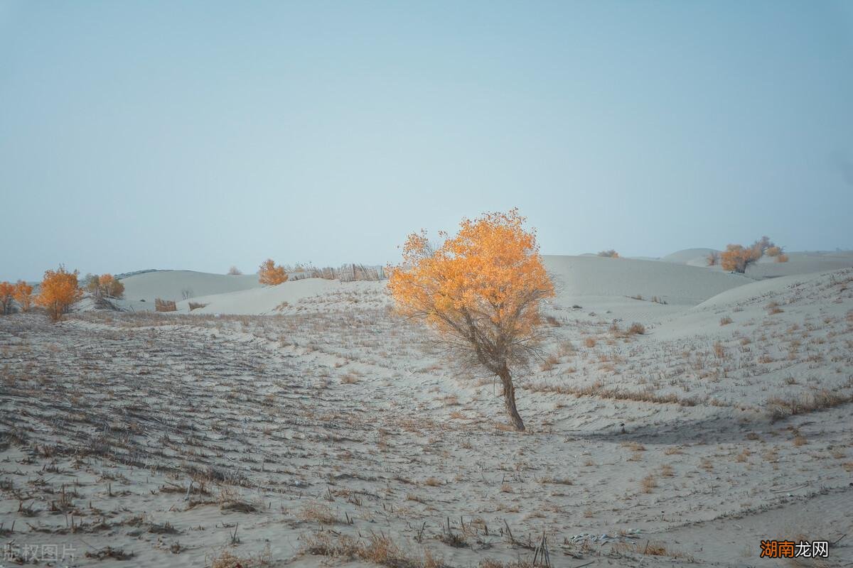 内流河塔里木河位于哪里 中国最大的内流河是哪一个