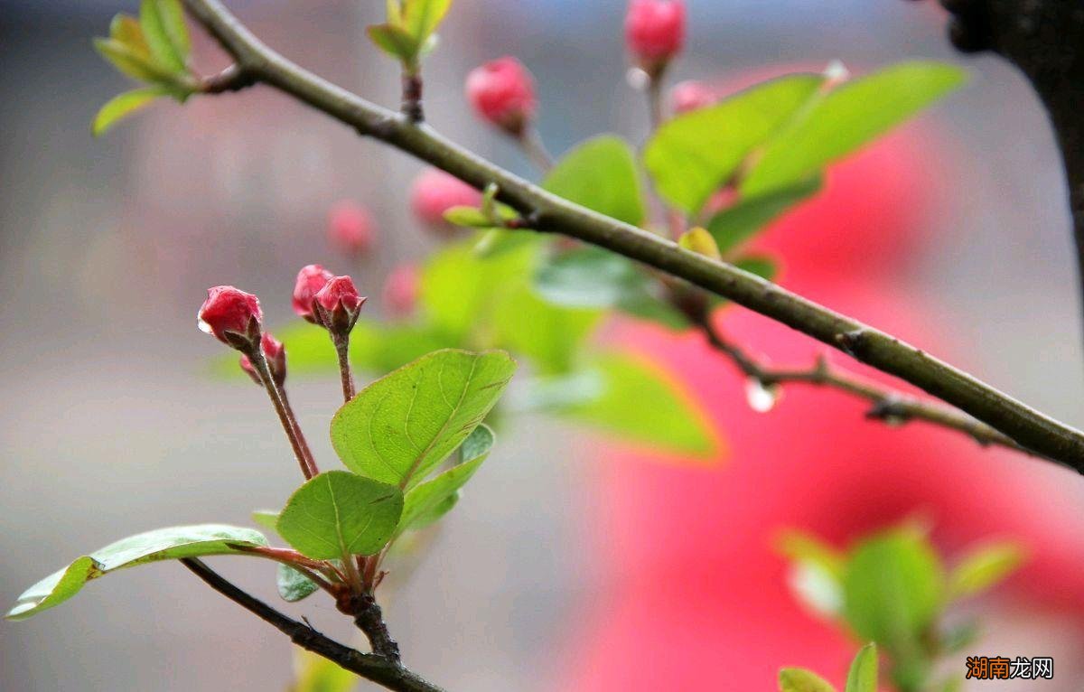 北半球6月太阳离的最近吗 一天中太阳什么时候离我们最近