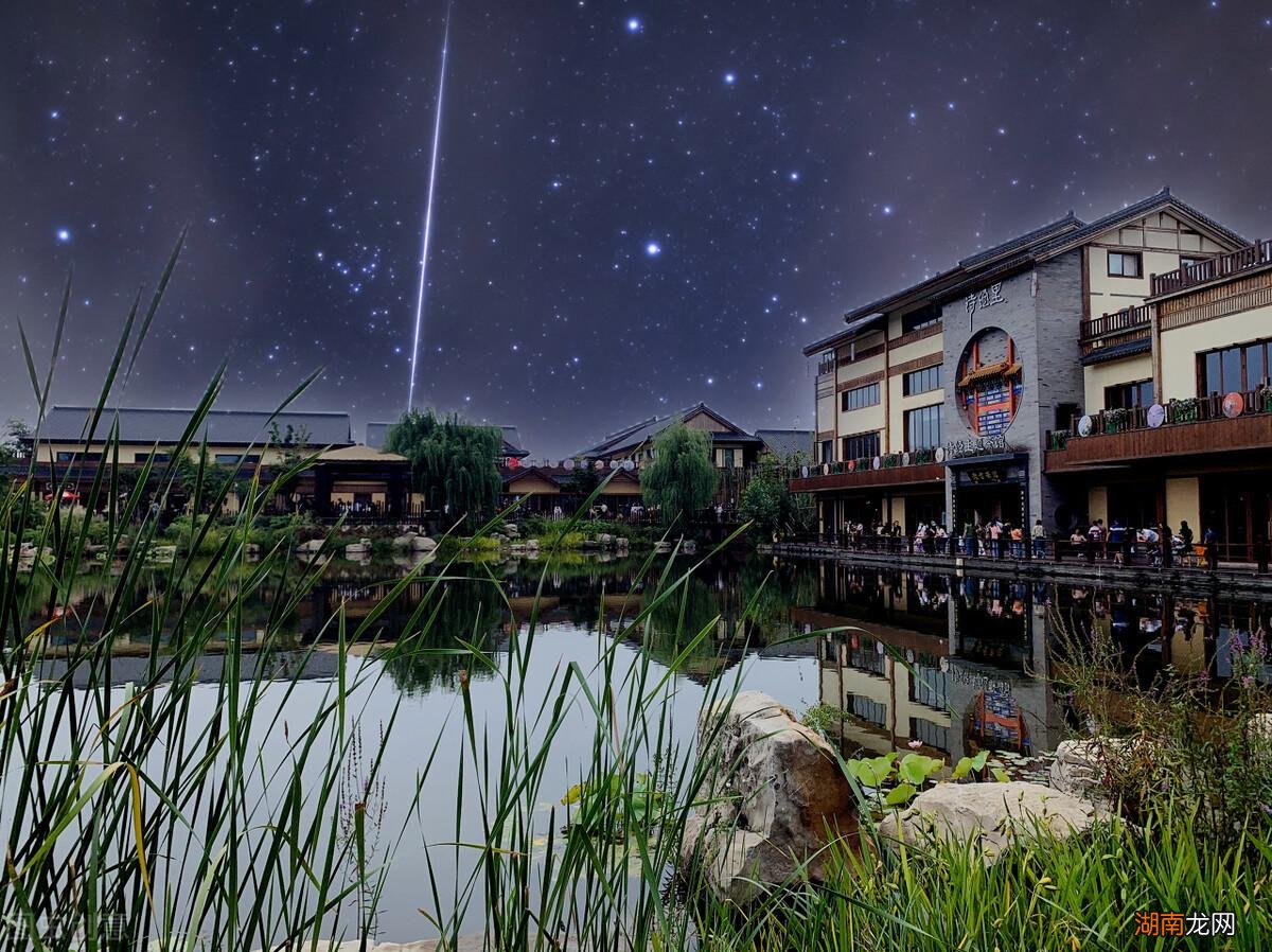 关关鸣叫的雎鸠鸟栖息于沙洲之地 雎鸠是什么鸟