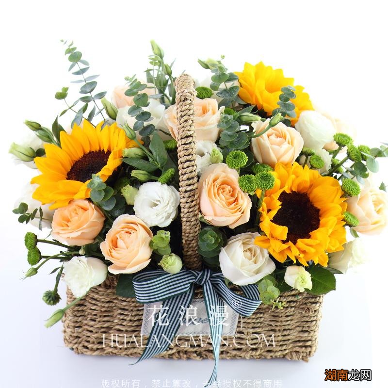 桔梗花代表的9个花语含义 桔梗花可以随便送人吗